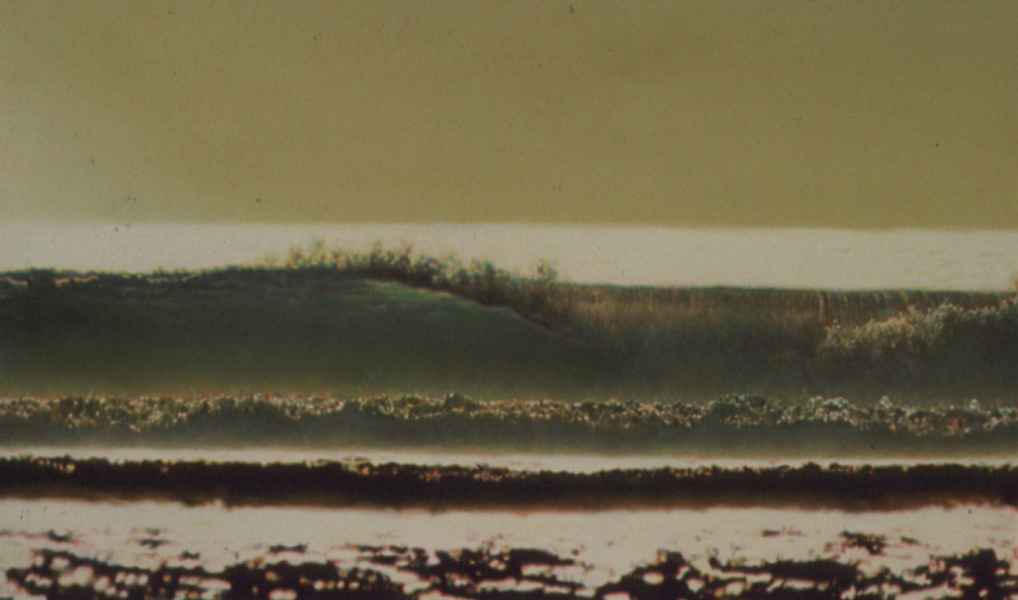 Indonesian Wave study 1979